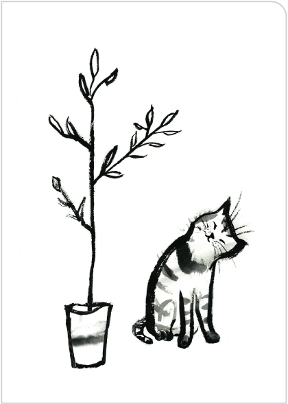 Cat Card:  Plant