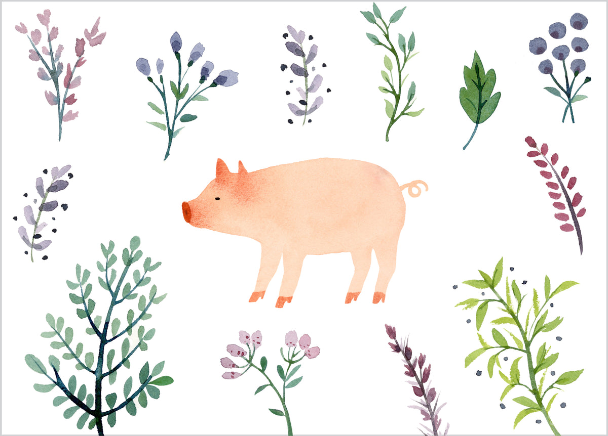 Pig Card:  Plants